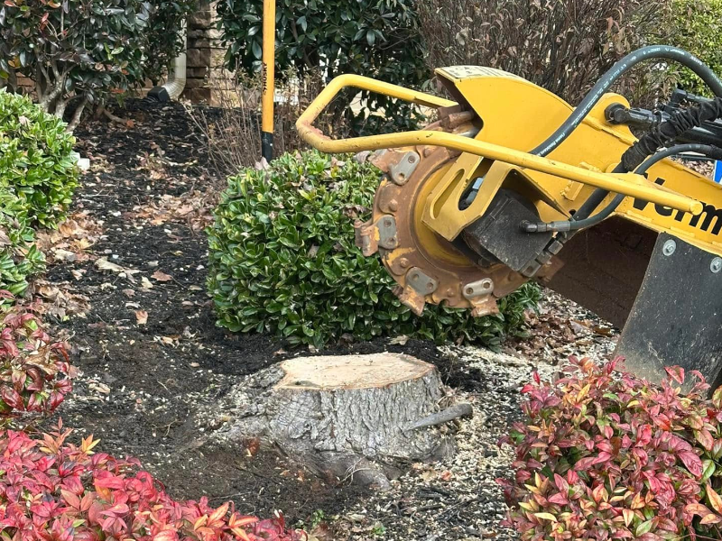 Stump Grinder Gurus